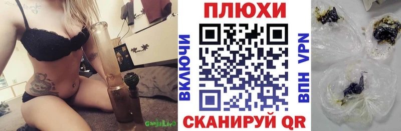 Купить закладки  Рудня  Гашиш индика сатива 