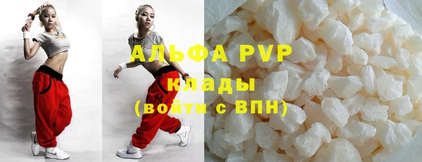 крисы Алексин