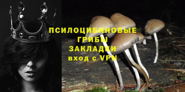 2c-b Алзамай