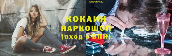 крисы Алексин