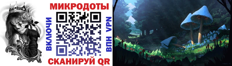Галлюциногенные грибы Magic Shrooms  Купить закладки  Рудня 